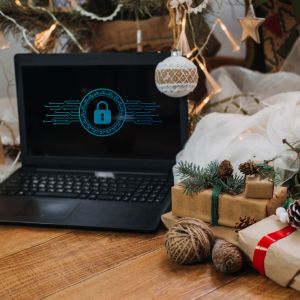 Avoid Common Holiday Cyber Scams